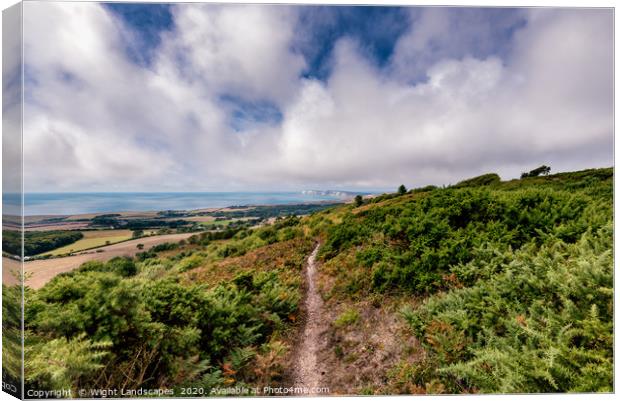 Mottistone Common Footpath Canvas Print by Wight Landscapes