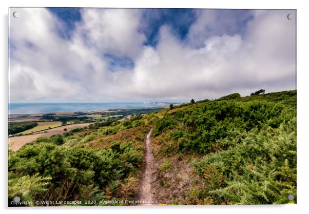 Mottistone Common Footpath Acrylic by Wight Landscapes