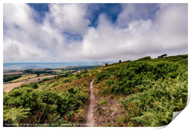 Mottistone Common Footpath Print by Wight Landscapes
