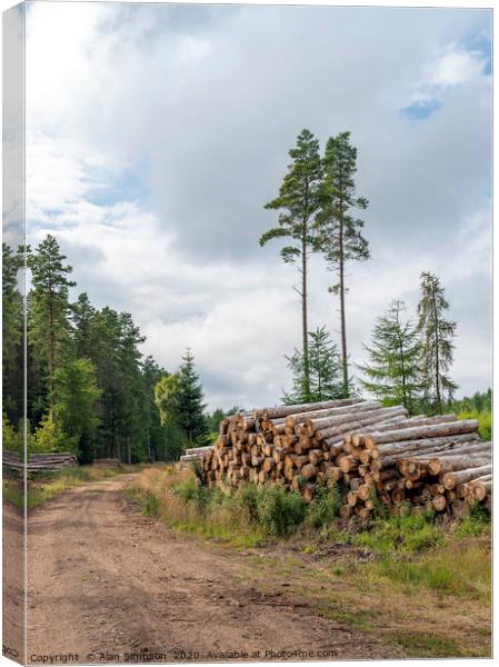 Logging in the Woods Canvas Print by Alan Simpson