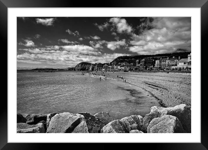 Sidmouth Seafront and Beach                        Framed Mounted Print by Darren Galpin