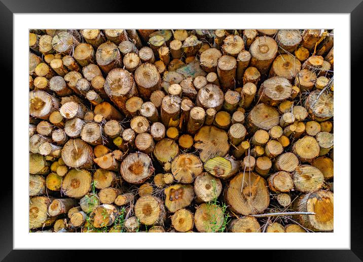 Logging Framed Mounted Print by Alan Simpson