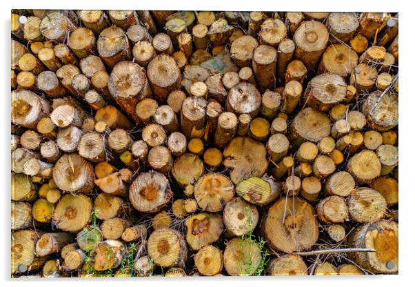 Logging Acrylic by Alan Simpson