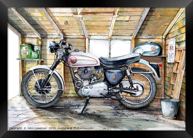 A Goldie in the Shed Framed Print by John Lowerson