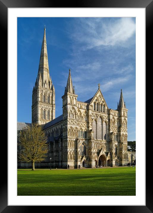 Salisbury Cathedral                        Framed Mounted Print by Darren Galpin