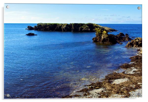 At Niarbyl Point Acrylic by Steven Watson