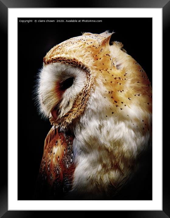Barn owl Framed Mounted Print by claire chown