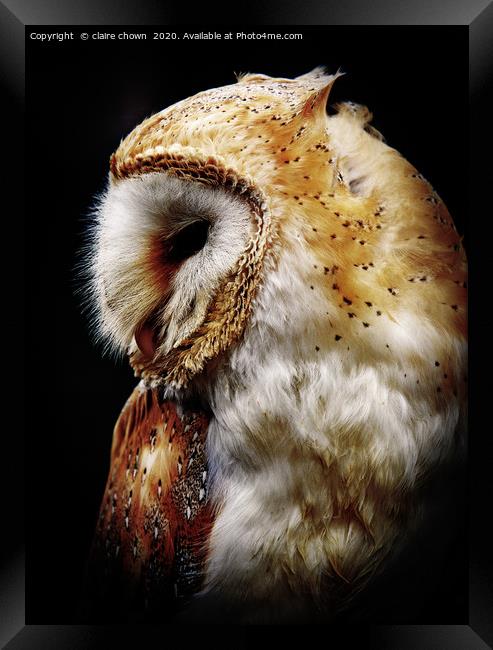 Barn owl Framed Print by claire chown