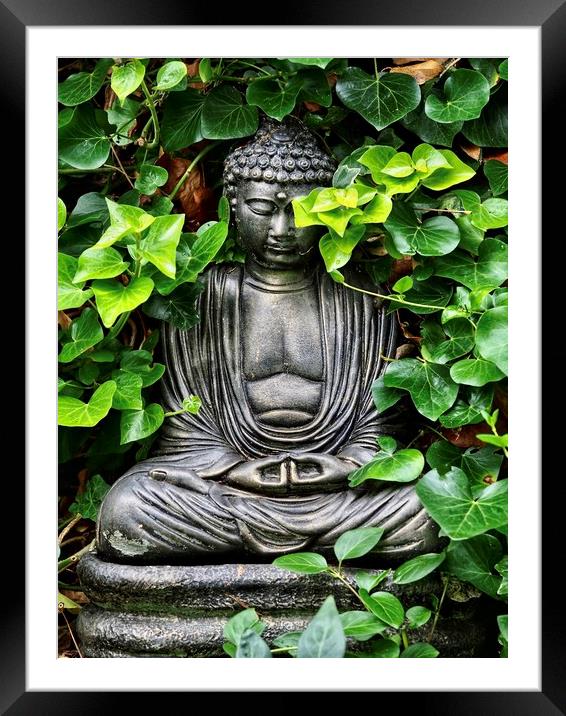 Garden Buddha  Framed Mounted Print by Victor Burnside