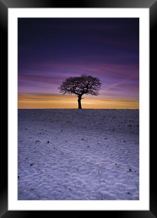 Winter's Isolation Framed Mounted Print by Wayne Shipley