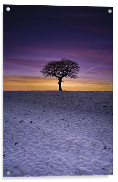 Winter's Isolation Acrylic by Wayne Shipley
