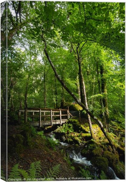 A Bridge in the Woods Canvas Print by Jon Lingwood