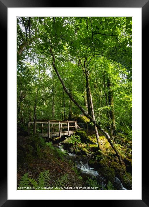 A Bridge in the Woods Framed Mounted Print by Jon Lingwood