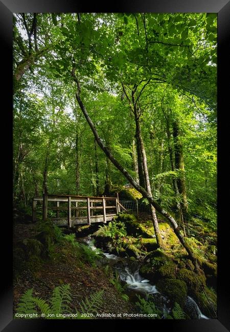 A Bridge in the Woods Framed Print by Jon Lingwood