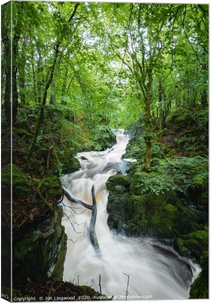 Caught in the Torrent Canvas Print by Jon Lingwood
