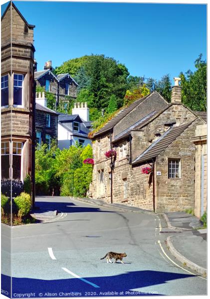 Cat and Cottage Matlock  Canvas Print by Alison Chambers