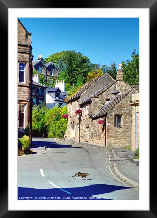 Cat and Cottage Matlock  Framed Mounted Print by Alison Chambers