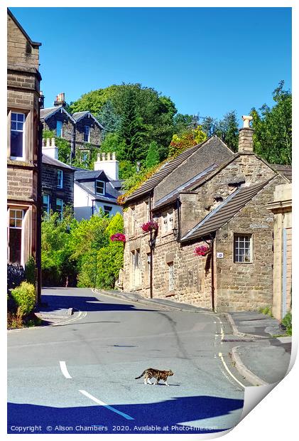 Cat and Cottage Matlock  Print by Alison Chambers