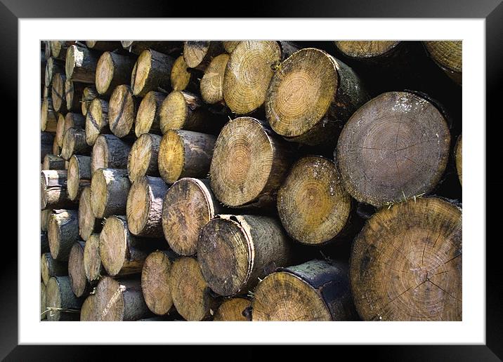 The Log pile Framed Mounted Print by Wayne Molyneux