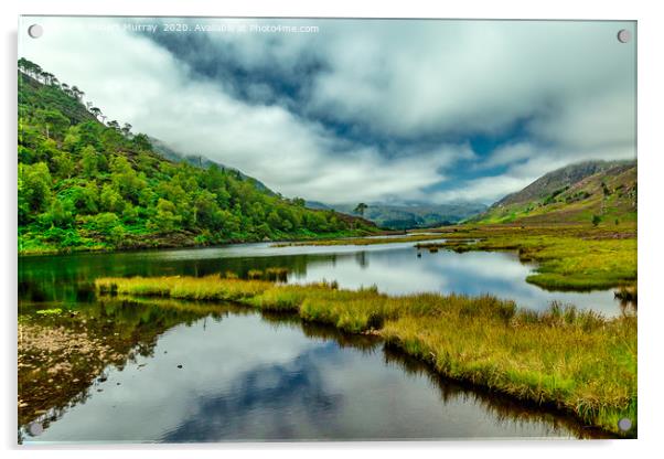 In a Highland Glen 2 Acrylic by Robert Murray