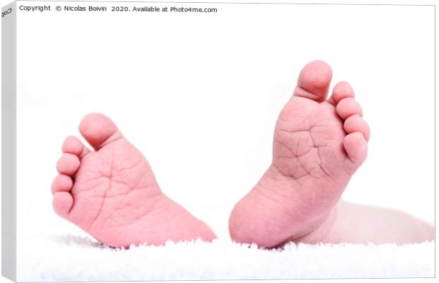 Newborn feet close up on white background. Baby bo Canvas Print by Nicolas Boivin