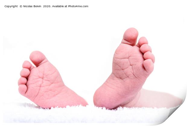 Newborn feet close up on white background. Baby bo Print by Nicolas Boivin