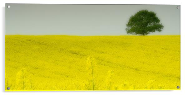 Mellow Yellow Acrylic by Wayne Molyneux