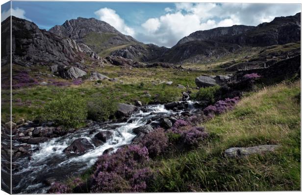 Ogwen Valley View Canvas Print by Malcolm Lander
