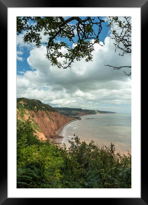 Looking out to Sidmouth Framed Mounted Print by Images of Devon