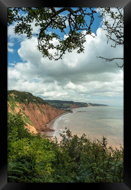 Looking out to Sidmouth Framed Print by Images of Devon