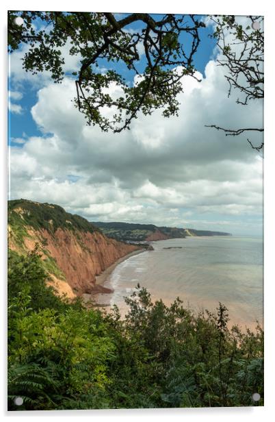 Looking out to Sidmouth Acrylic by Images of Devon