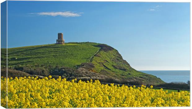 Clavell Tower & Rapeseed at Kimmeridge Bay         Canvas Print by Darren Galpin