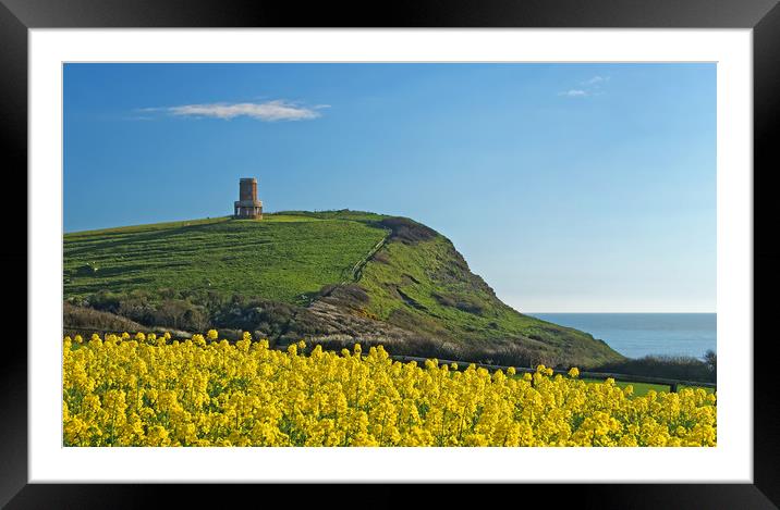 Clavell Tower & Rapeseed at Kimmeridge Bay         Framed Mounted Print by Darren Galpin