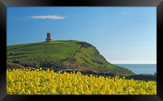 Clavell Tower & Rapeseed at Kimmeridge Bay         Framed Print by Darren Galpin