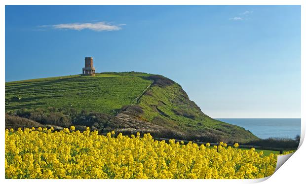 Clavell Tower & Rapeseed at Kimmeridge Bay         Print by Darren Galpin