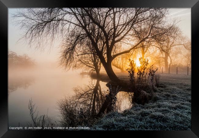 Sunrise through the Willow Framed Print by Jim Hellier