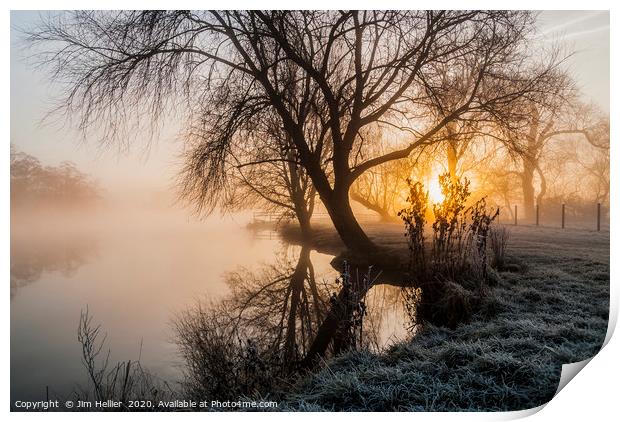Sunrise through the Willow Print by Jim Hellier