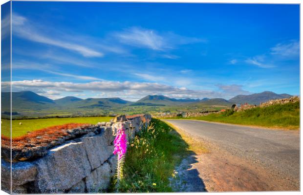 Summertime in the Mournes Canvas Print by David McFarland