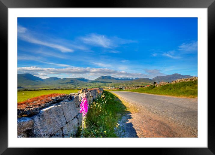 Summertime in the Mournes Framed Mounted Print by David McFarland