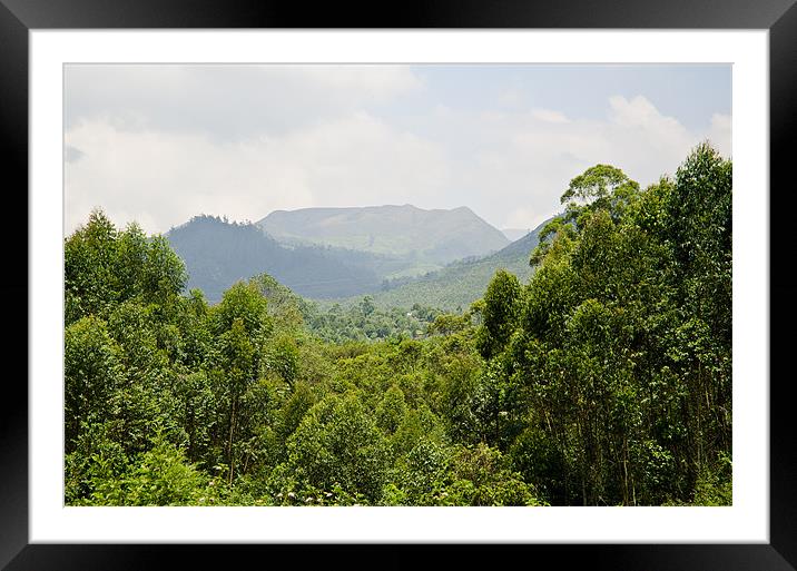 forest in the mountain Framed Mounted Print by Hassan Najmy