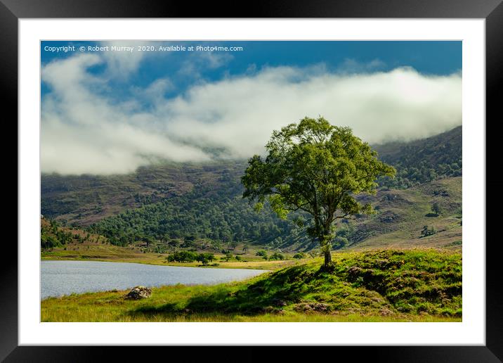 Lone tree in a Highland Glen Framed Mounted Print by Robert Murray
