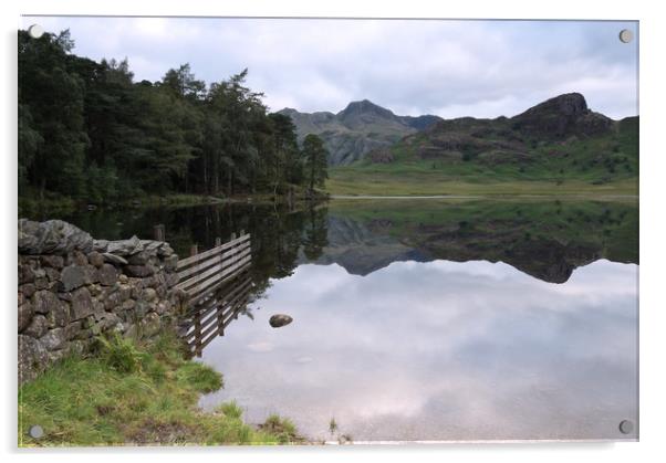 Blea Tarn's Langdale reflections #2 Acrylic by Ann Goodall