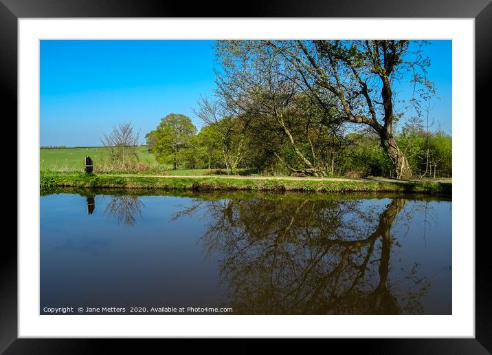 Reflections Framed Mounted Print by Jane Metters