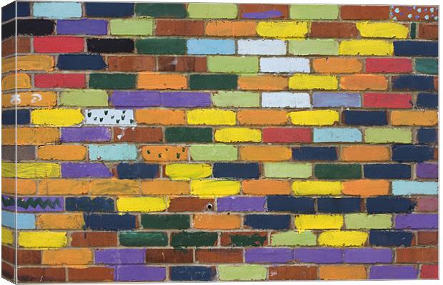 Painted Bricks Canvas Print by Tony Bates