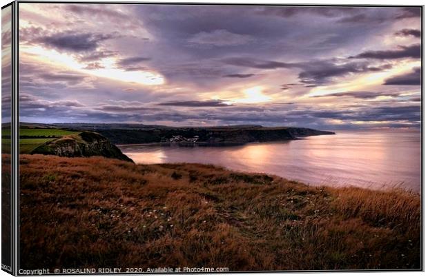 "Pink glow across Runswick" Canvas Print by ROS RIDLEY