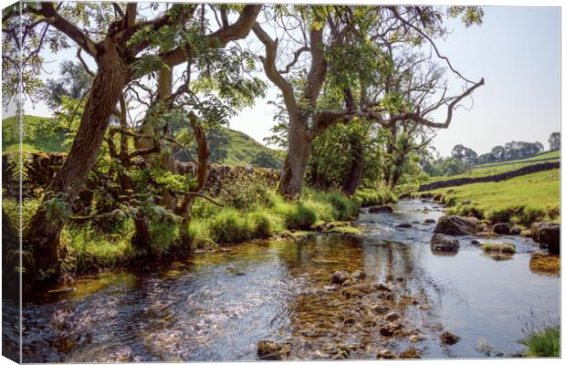 Malham Cove Landscape Canvas Print by Svetlana Sewell