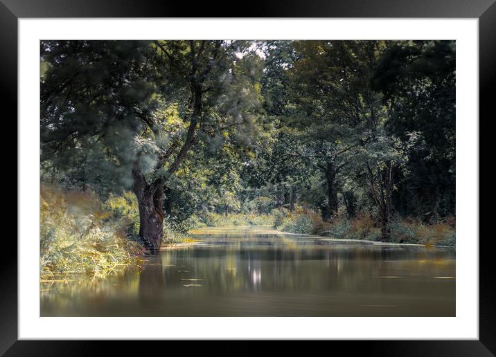 Canal Framed Mounted Print by Mark Jones