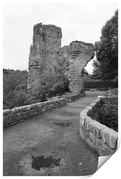 The entrance to Rosslyn castle, black&white Print by Theo Spanellis