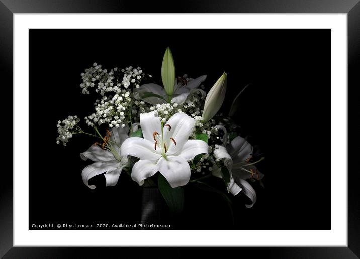 Bouquet of pure white lilies Framed Mounted Print by Rhys Leonard