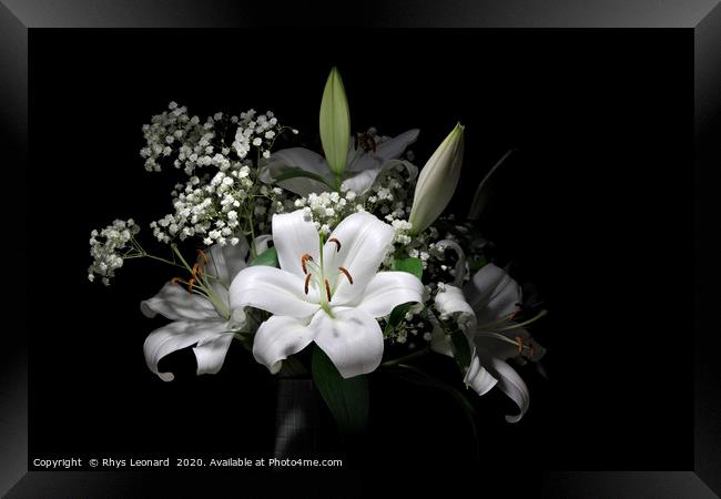 Bouquet of pure white lilies Framed Print by Rhys Leonard